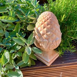 High angle view of turtle on plant