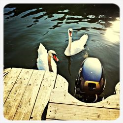 View of lake with trees in background