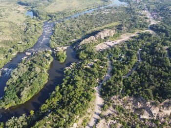 High angle view of plants growing on land