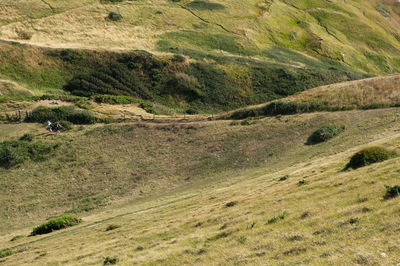 Scenic view of landscape