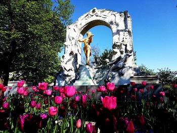 Low angle view of statue on flowering plants against clear sky