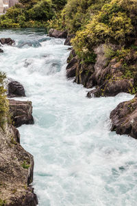 Scenic view of stream flowing through rocks in forest