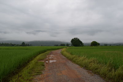 Road amidst field against sky