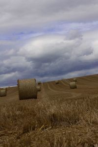 Scenic view of rural landscape