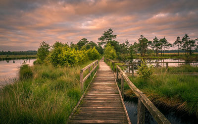 Boardwalk amidst plants against sky during sunset