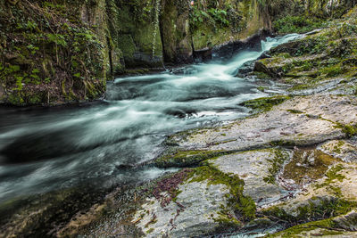 Scenic view of waterfall in forest