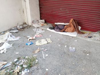 Garbage sleeping in abandoned house