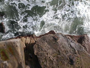 High angle view of rocks on beach