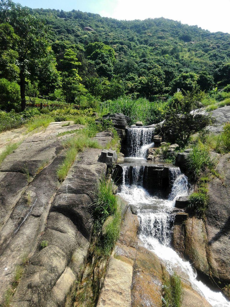 WATERFALL IN FOREST