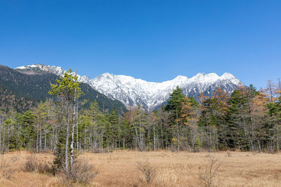 Scenic view of landscape against clear blue sky