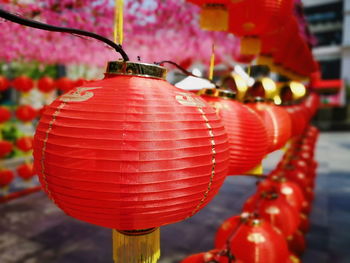 Close-up of red lanterns hanging in row