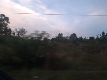 Trees on field against sky