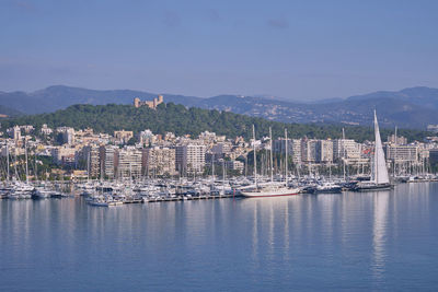 Sailboats in city at harbor against sky