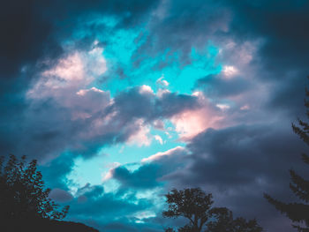 Low angle view of tree against cloudy sky