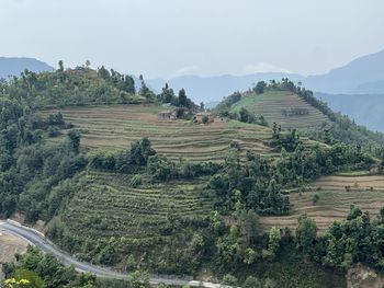 landscape