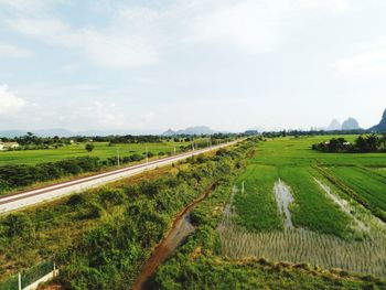 Scenic view of agricultural field against sky