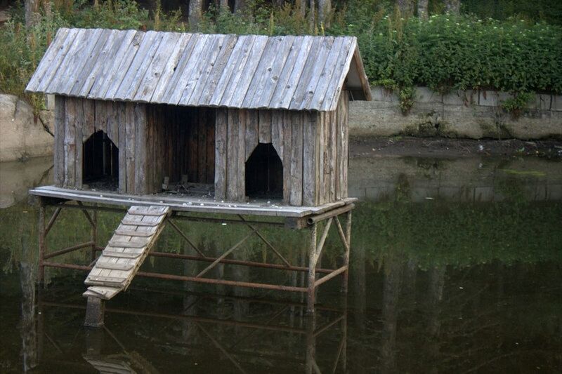 water, lake, built structure, grass, wood - material, architecture, reflection, abandoned, day, nature, wood, house, building exterior, outdoors, tranquility, old, tree, plant, no people, wooden