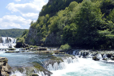 River amidst trees in forest against sky