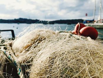 Close-up of fishing net on beach