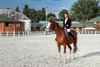 Horse standing on field