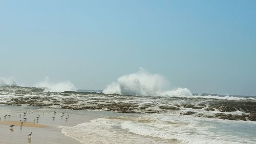 Panoramic view of sea against clear sky