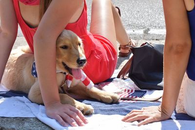 Mid section of woman with dog sitting on rock