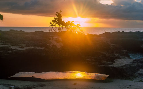 Scenic view of a log at sea against sky during sunset