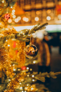 Close-up of christmas decorations