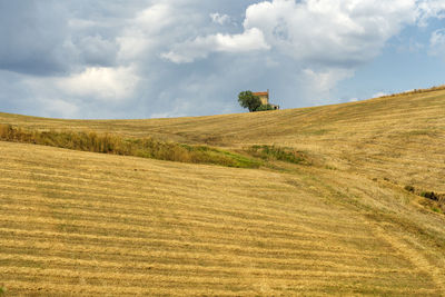 Scenic view of agricultural field against sky