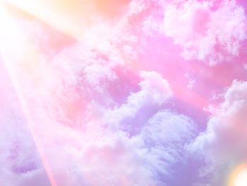 Low angle view of pink flowers against sky