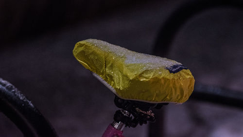 Close-up of yellow lizard on leaf