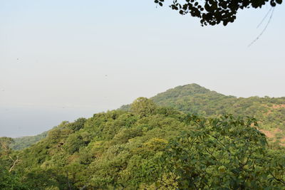 Scenic view of mountains against clear sky