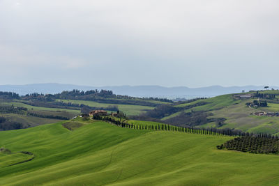 Scenic view of green landscape against sky