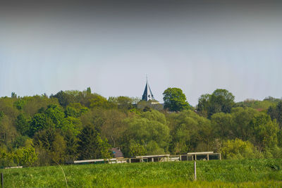 Trees on landscape against sky