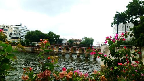 Bridge over water in city against sky