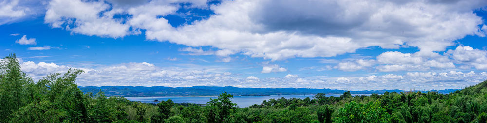 Panoramic view of trees against sky