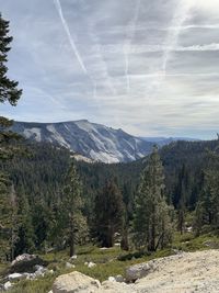 Scenic view of landscape and mountains against sky