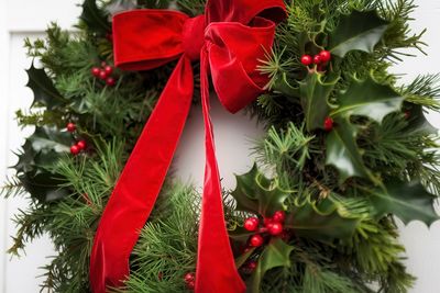 Close-up of christmas tree