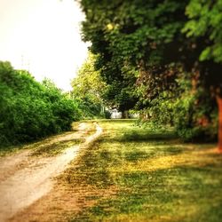 Road passing through landscape