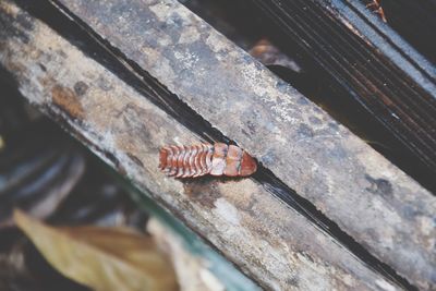 High angle view of rusty metal on wood