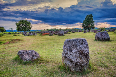 Scenic view of field against sky