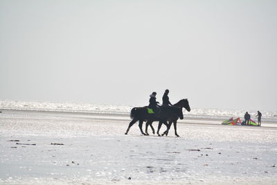 Man riding horse on beach against clear sky