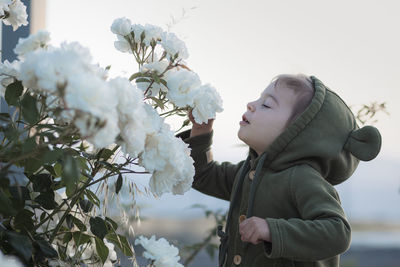 Cheerful toddler girl smelling white roses in the rose garden