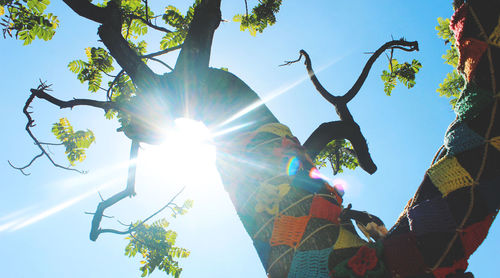 Low angle view of sun shining through trees