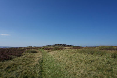 Scenic view of field against clear blue sky