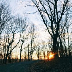 Silhouette bare trees on field against sky during sunset