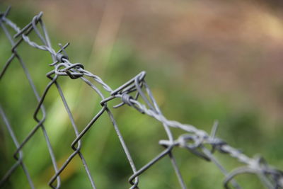 Close-up of barbed wire on fence