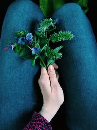 Directly above shot of woman holding plant indoors