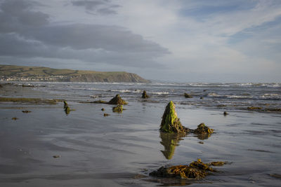 Scenic view of sea against sky