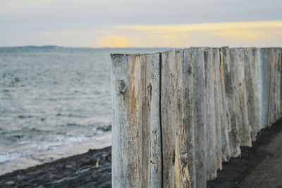 Close-up of wooden posts on beach